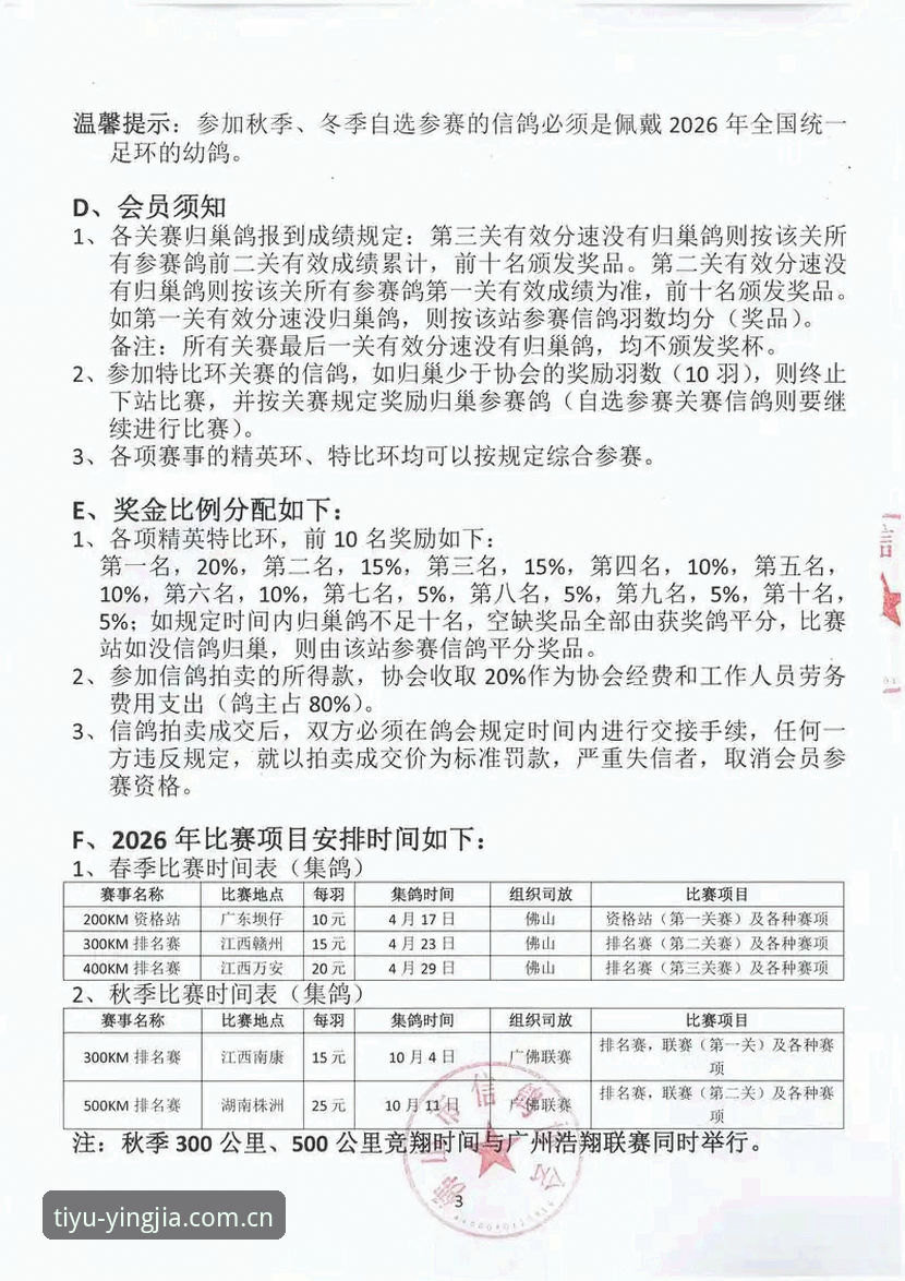 一场赛事数据的价值，不在于它展示什么，而在于它如何被呈现。
